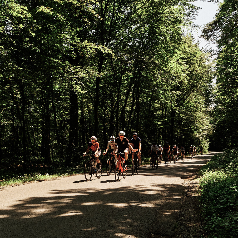 Tour d'Honneur