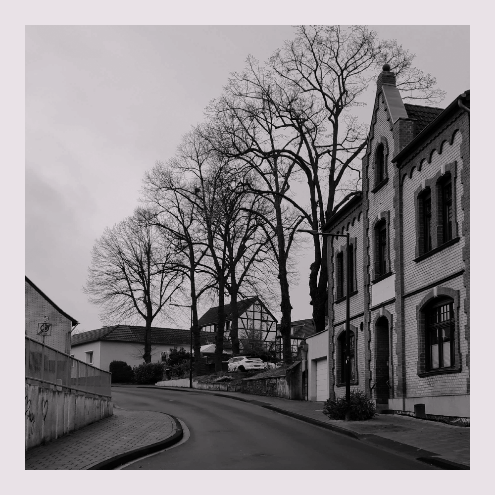 Fischenich