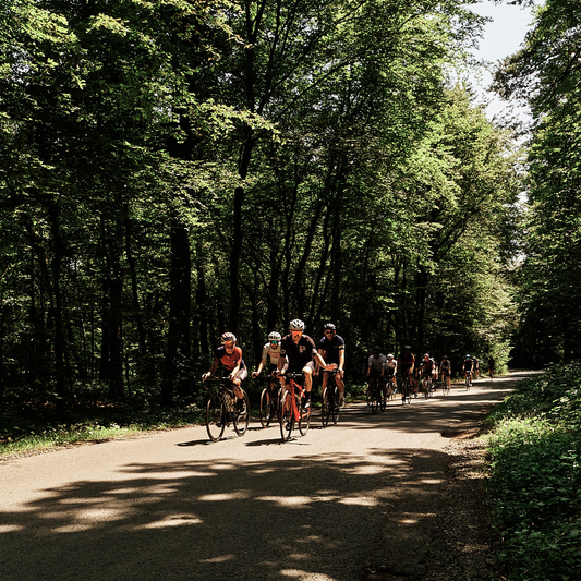 Tour d'Honneur