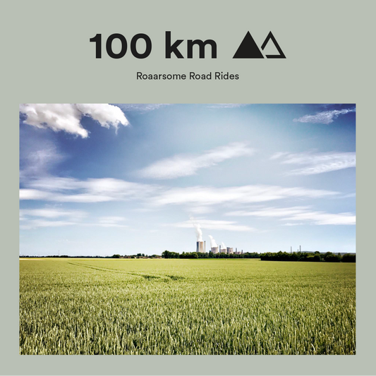Anstel Gold Race